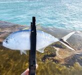 Первая Куба: ветер, барракуды и лангусты у Кайо-Бланко