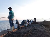 ROC Varadero и порт Карденас: не поймали, но увидели