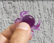 Черноморские эксперименты с искусственными приманками