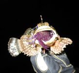 Черноморские эксперименты с искусственными приманками