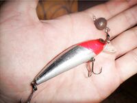 Ерш на воблере: старый способ с новым азартом