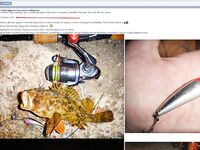 Ерш на воблере: старый способ с новым азартом