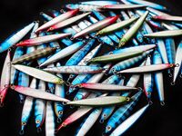 Поиск саргана и выбор веса приманки