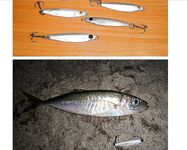 Фотоотчёт про ставриду и мелкий шрифт