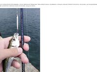 Фотоотчёт про ставриду и мелкий шрифт