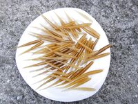 Проверка снасти и первые забросы по ставриде