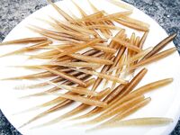 Проверка снасти и первые забросы по ставриде