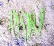 Проверка снасти и первые забросы по ставриде