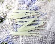 Проверка снасти и первые забросы по ставриде