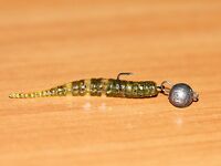 Проверка снасти и первые забросы по ставриде