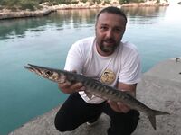 Барракуда с Майорки и утренний промах