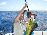 Маврикий и голубой марлин на 242 кг