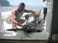 Маврикий и голубой марлин на 242 кг