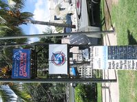 Фотографии марлина с Маврикия