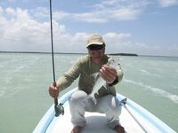 Ривьера Майя и троллинг на парусника