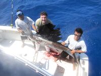 Ривьера Майя и троллинг на парусника