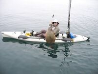 Палтус и каяк: шанс и риск