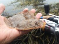 Hard Rock Fishing: фото-заметки с берега