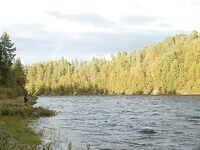 Норвегия: две недели форели и хариуса без остановки