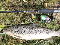 Норвегия: две недели форели и хариуса без остановки