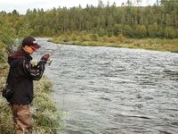 Норвегия: две недели форели и хариуса без остановки