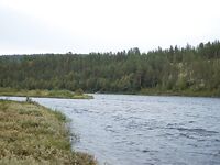 Норвегия: две недели форели и хариуса без остановки