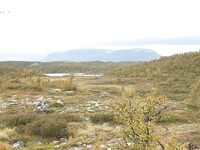 Норвегия: две недели форели и хариуса без остановки