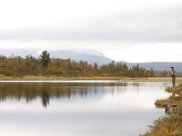 Норвегия: две недели форели и хариуса без остановки