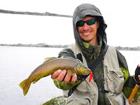 Норвегия: первые дни пути, Варшава — Haugastøl