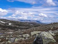 Норвегия: первые дни пути, Варшава — Haugastøl