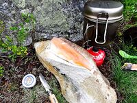 Финал норвежской рыбалки: чемоданы, хариус и вечерние выводы