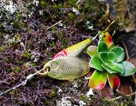 Финал норвежской рыбалки: чемоданы, хариус и вечерние выводы