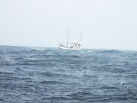 Северные фьорды Норвегии: где идиллия сменяется штормом