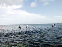 Балийский отлив и путь по колено к рифу