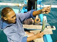 Океан штормит и ловля на живую креветку