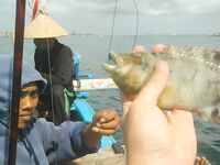 Океан штормит и ловля на живую креветку