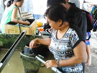 Океан штормит и ловля на живую креветку