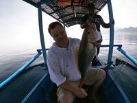 Пустая троллинговая рыбалка и один снэппер