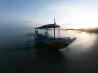 Цены на рыбу и ожидание отчётов из Пемутерана