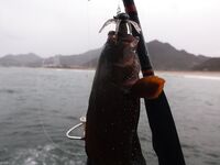 Когда прилив и кто знает про прилив