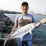 Дубай пляж Al Sufouh и поппер