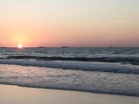 Шарджа советы по берегу лицензии и самодур