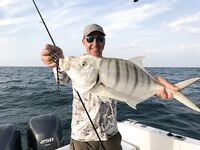 Дубай донная рыбалка и немного кастинга