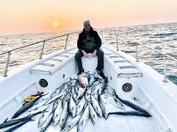 Котлы в Абу-Даби и морская рыбалка без капризов