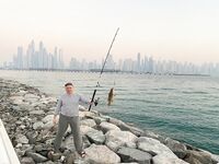 Пальма Джумейра — одиночный выезд с берега