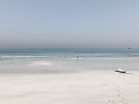 Шарджа: заброшенный пляж, утренний скат и отводной