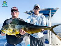 Фуджейра, живец и барракуда — потом рыбалка по махи