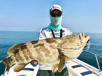 Полугодовой итог в ОАЭ: 126 выездов за 151 день и личный рекорд