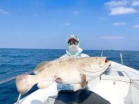 Полугодовой итог в ОАЭ: 126 выездов за 151 день и личный рекорд