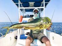 Полугодовой итог в ОАЭ: 126 выездов за 151 день и личный рекорд